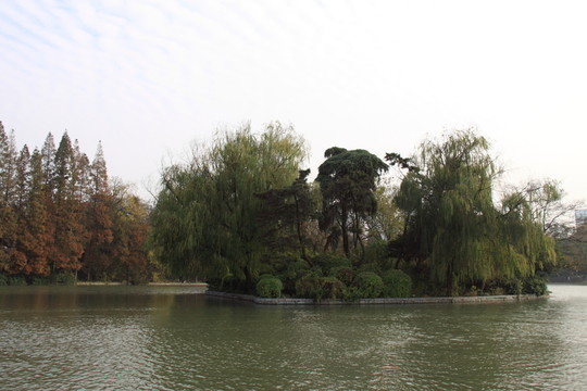 公園秋色