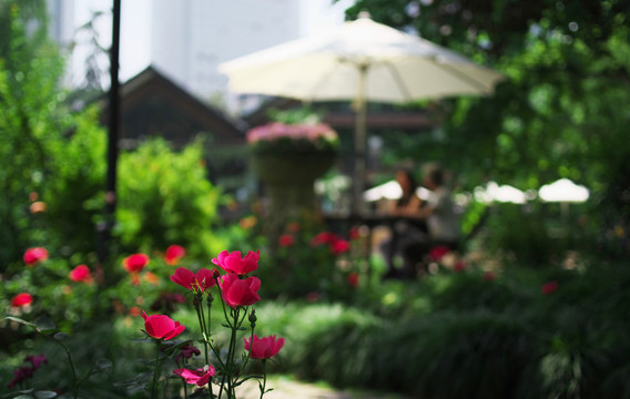 靜安公園