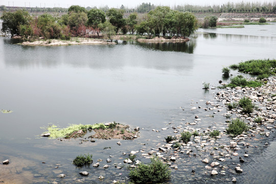 公園
