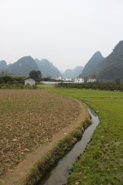 陽朔田園風(fēng)光