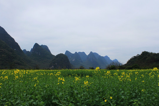 陽朔田園風(fēng)光