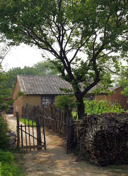 農(nóng)家