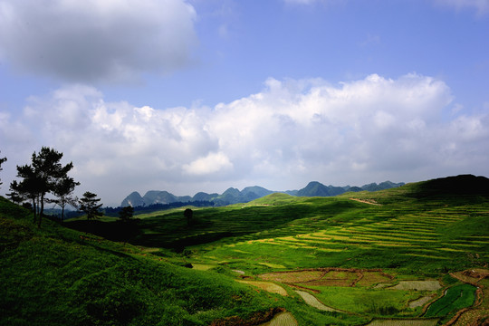 晴朗天空