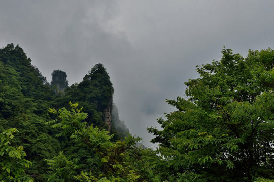 柴埠溪