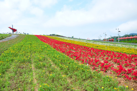百花園