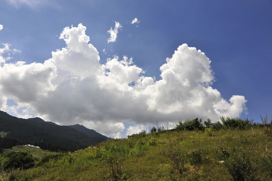天山天池