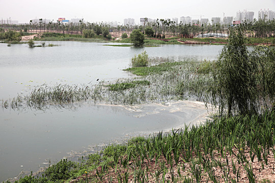 公園