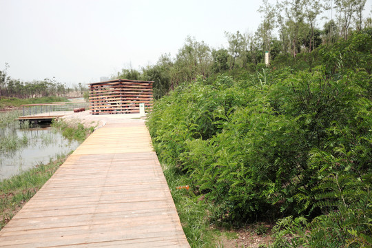 公園