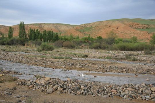 山村