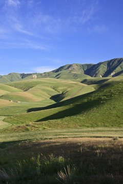 高山牧場(chǎng)