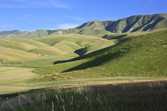 高山牧場(chǎng)