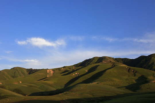 山
