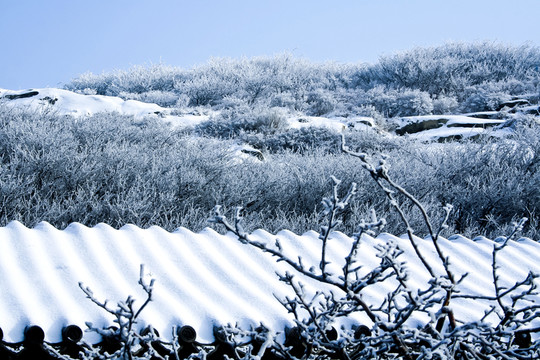 泰山雪景