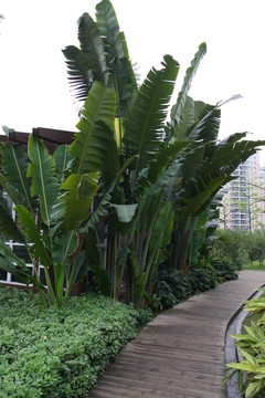 珠江公園