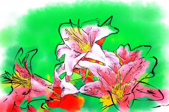 百合花  （合層）