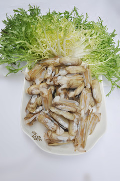 圣子
