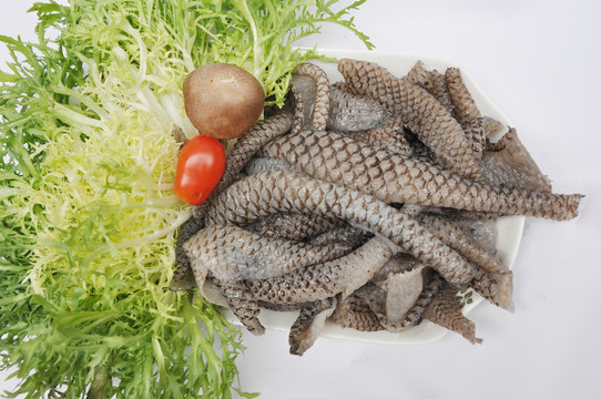 魚皮