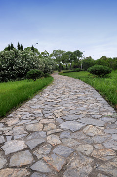 合肥工業(yè)大學(xué) 合工大校園道路