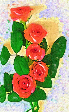 玫瑰花  （合層）