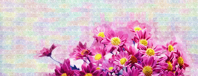 菊花 （合層）