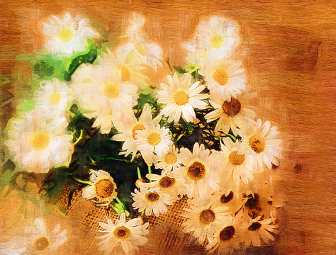 白菊花 （合層）