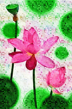 荷花 （合層）