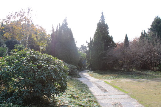公園秋色