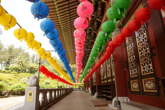 藥泉寺