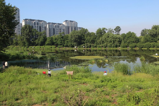 河流