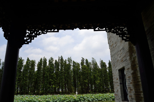 古建筑  走廊  樹林