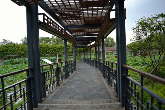 走廊 風(fēng)景