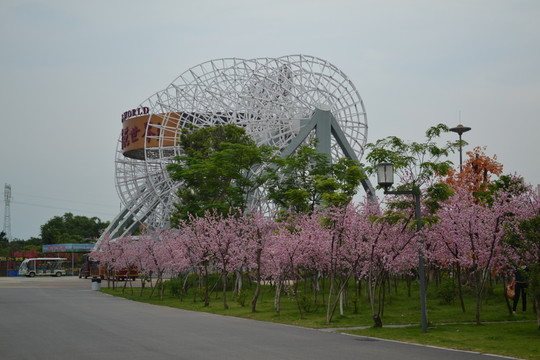 桃花 桃樹 公園 路燈