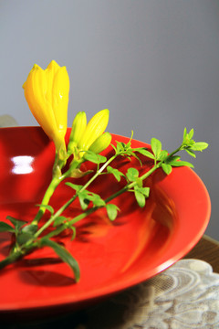 黃花 綠葉