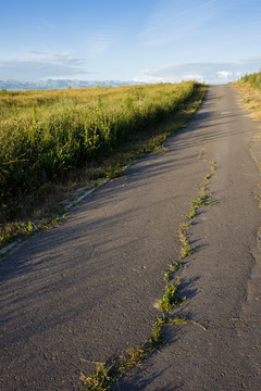 路