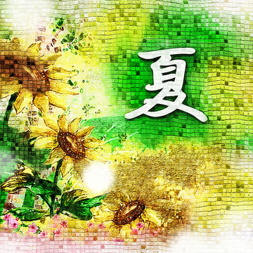 夏季 （合層）