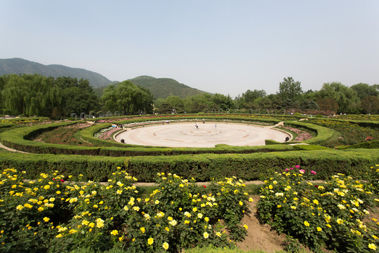 香山植物園月季園