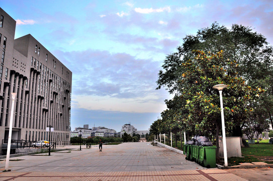合肥工業(yè)大學(xué) 合工大校園道路