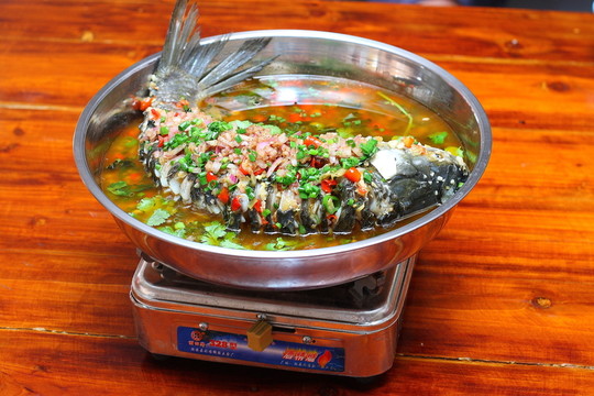 跳水鯇魚