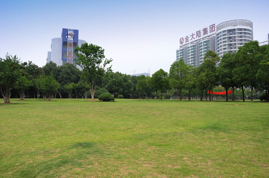 綠樹(shù)綠化 草坪