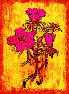 花卉