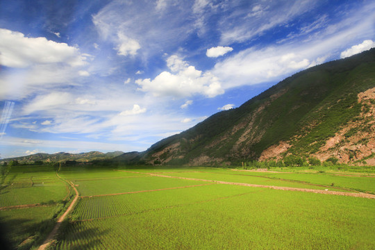 山間田野
