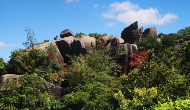 萬寧 東山嶺