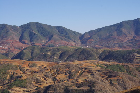 紅土地