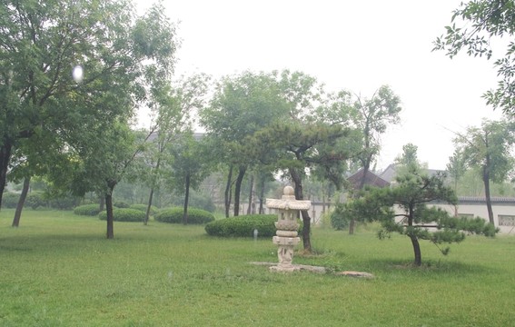 雨天北寧公園樹木綠地