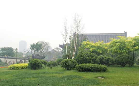 雨天北寧公園綠地樹木盆景建筑