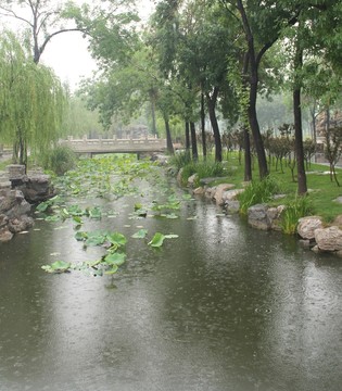 雨天北寧公園荷塘石拱橋