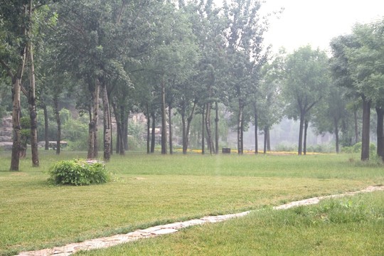 雨天北寧公園樹(shù)木綠地