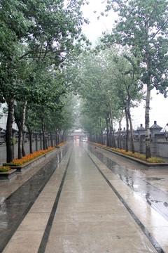 雨天天津北寧公園風(fēng)景院墻路燈