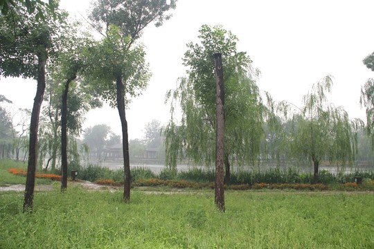 雨天北寧公園綠地湖水樹木