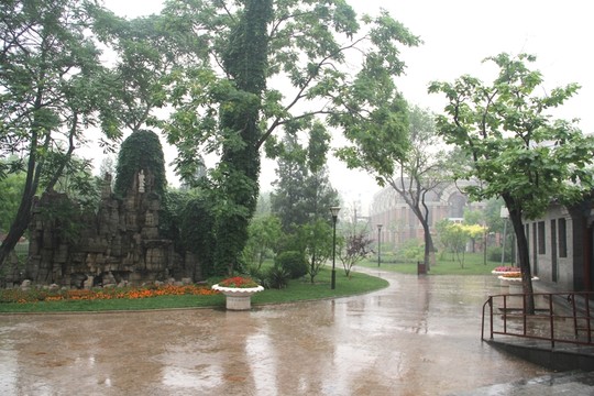 雨天天津中山公園盆景樹綠地假山